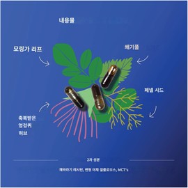 Motherlove More Milk Moringa 마더러브 모어 밀크 모링가 60캡슐, 60정, 1개 Motherlove More Milk Moringa 60 Capsules