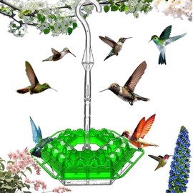 2025 New Ant & Bee Hummingbird Feeder with 30 Feeding Openings – 11oz Easy Clean Outdoor Hanging Feeder Including Perch & Cleaning Brush for Windows & Backyard Decoration (2, Green)