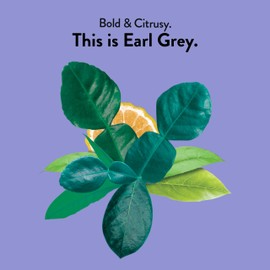 Choice Organics - Organic Earl Grey Tea (3 Pack) - With Bergamot - Fair Trade - Compostable - Contains Caffeine - 48 Organic Black Tea Bags