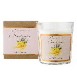 Ambientair Mimosa Le Jardin De Julie Pot Parfume Scented Jar Candle