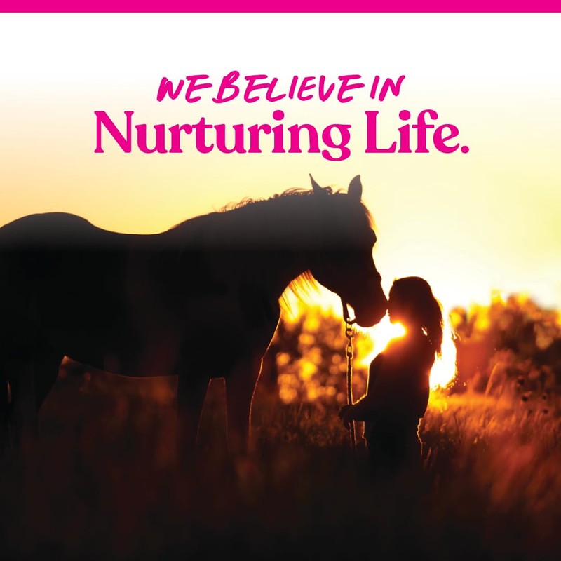 Manna Pro Bite-Size Nuggets for Horses – Horse Training Treats
