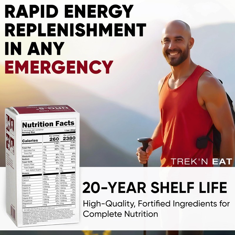 Katadyn NRG-5 Emergency Food Ration 500g Pack of 1 (9