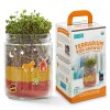 Back to the Roots STEM Certified Kids Terrarium Grow Kit