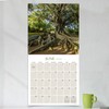 TF Publishing 2026 Trees Wall Calendar