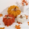 Briful Handmade Knitted Pumpkins Set of 3 – Cozy Fall