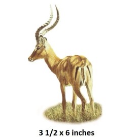 Impala Wall Decal African Antelope Deer Horns Vinyl Sticker Peel Stick Art Decor