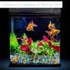 Unbranded Aquarium Ocean Shape Decorative Stones for Fish Tanks, Gardens