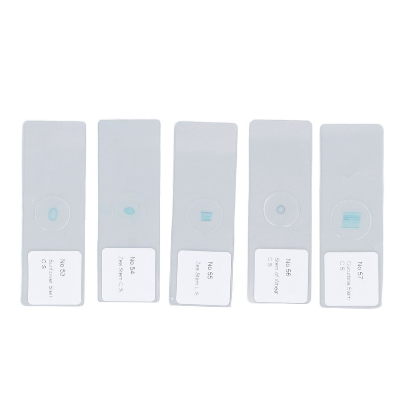 100pcs Microscope Slides Rounded Edge Plants Blank Microscope Slides for