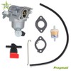 For Briggs & Stratton 594207 Intek Engine Mower Carburetor &Gasket