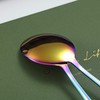 Rainbow Serving Spoons 4 Pieces, Kyraton Titanium Plating Serving Spoon,