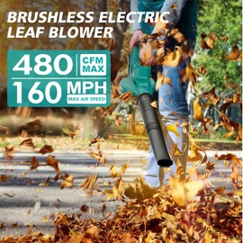 ALSO GO 20V Leaf Blower Cordless, Electric Leaf Blowers with 2X 2.0Ah Battery and Charger, 480 CFM 160 MPH Battery Powered Leaf Blower, Handheld Lightweight Blower for Lawn, Patio, Sidewalk Cleaning