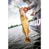Berkley Gulp! Alive! Minnow,Smelt,4-Inch (12 oz)