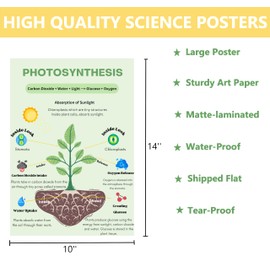 PINKEESEA 6 Science Posters for Classroom Middle School Classroom Must Haves - 10x14in Biology Posters for High School, Biology Decor, Middle School Supplies