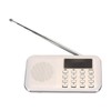 Mini Plug in Speaker Outdoor Portable HIFI Radio Speaker Small