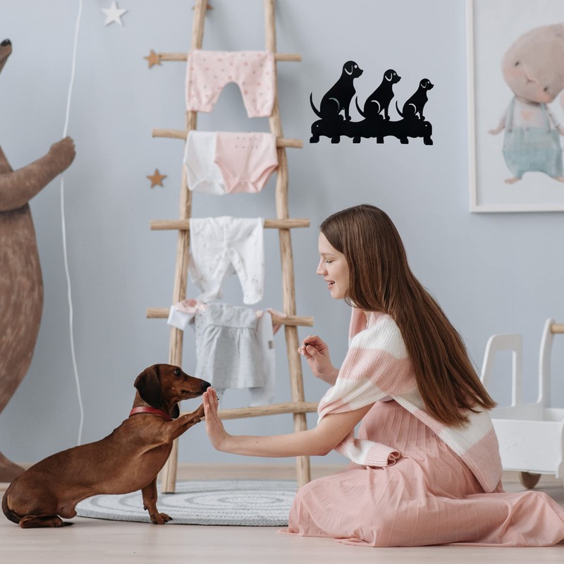 Dycmetal - Perchero para pared perros, colgador para correa de