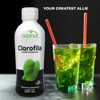 Vidanat Clorofila 500 ml – Suplemento Alimenticio de Origen Vegetal