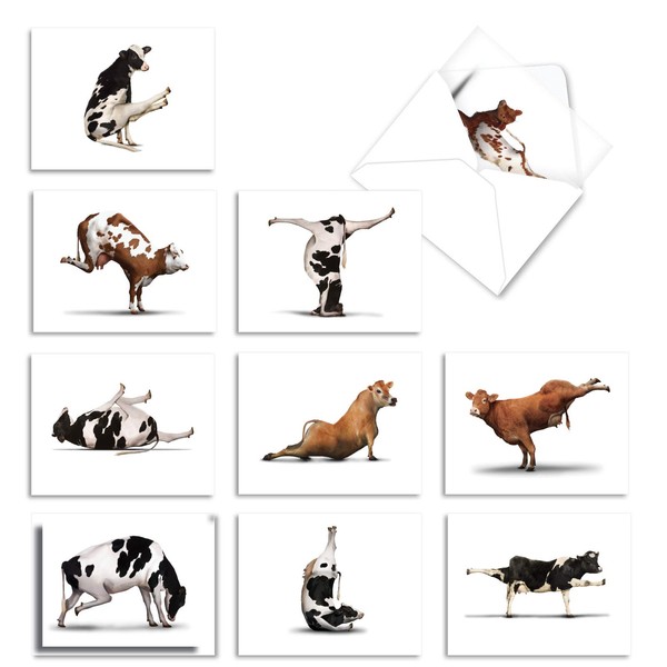 Assortment of 10 Thank You Cards Featuring Cows Doing Yoga - Boxed Set of Greeting Cards 4 x 5.12 inch with White Envelopes - ‘Bovine Nirvana' M6545TYG