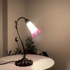 Bieye LS02 Lily Flower Blown Glass Lampshade (White Pink, Opening