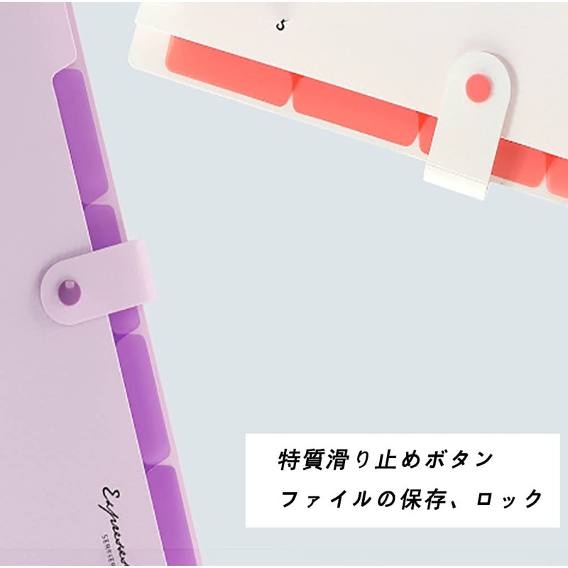 Document Holder Organ Pack, Basic File Case, Document File, Storage