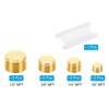 PATIKIL Brass Pipe Plug Fitting Set, 20Pcs 1/8", 1/4", 3/8",