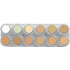Grimas Professional camouflage make-up palette CH, high coverage