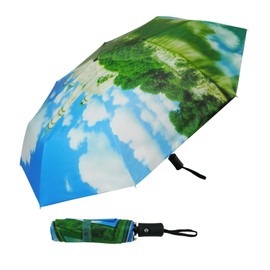 SY COMPACT Travel Windproof Automatic Umbrellas-Factory Outlet umbrella (Castle)