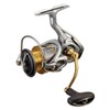 Daiwa LT3000 21 Freams