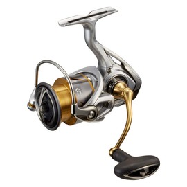 Daiwa LT3000 21 Freams