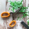 Multi Blade Scissors Ideal for Chopping Herbs Salads 21cm Soft
