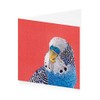 Royal Academy Kate Barlow Budgie Art Greeting Card (15 x