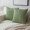 SHITURRE Decorative Throw Pillow Covers for Couch Bed Sofa Livingroom,