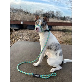 Mad Dog Products Easy Leader Dog Leash 1/4" x 15' Rainbow Signature Rope - Made in USA