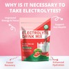 HydriPulse Electrolytes Powder Packets - Sugar Free, Naturally Flavored, 10