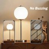 GARTO G8 Halogen Bulbs 20W 120V 2700K Warm White Dimmable