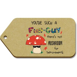 10 x Large 'You're Such A Fun Guy' Wooden Gift Tags (TG00134602)