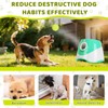Automatic Ball Launcher for Dogs, Interactive Dog Ball Thrower with