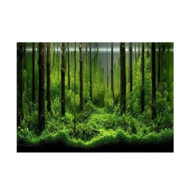 Hakeeta Forest Tank Aquarium Poster, PVC Adhesive Underwater Forest Fish Tank Background Poster Backdrop Decoration Paper.