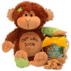 Gift Basket Drop Shipping Friend on the Mend Monkey and