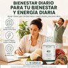 Adaptoheal HGS Melena de León, Reishi, Chaga, Shiitake y Cola