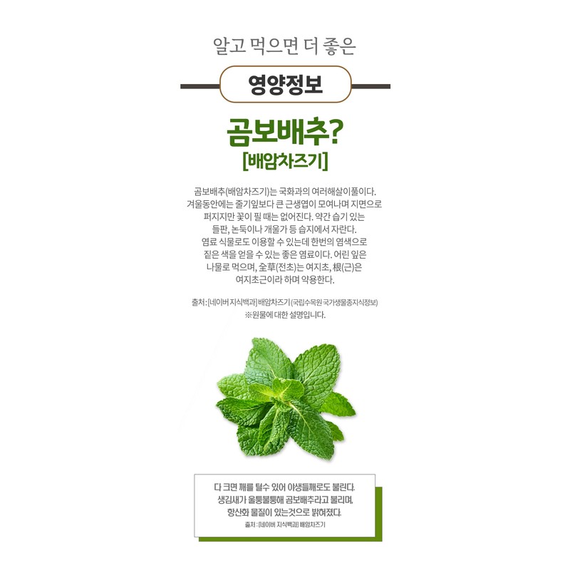 Morel Cabbage Dried Morel Cabbage Syrup Baeam Chazugi Gift Set