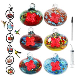 ruiyi tim Glass Hummingbird Feeder for Outdoors 6 PCS Small Hand Blown Glass Bird Feeding Balls Hanging Wild Bird Feeders 5OZ x 6PCS Backyard Garden Decorations with Brush Injector
