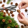 com-four® 200 x Decorative Cones Larch - Cones Decoration for