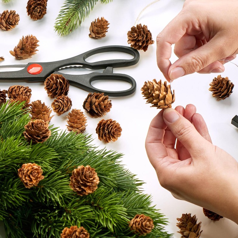 com-four® 200 x Decorative Cones Larch - Cones Decoration for