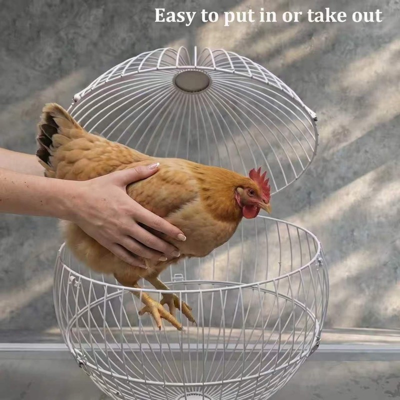 SORENCUT 17.7 Inch Metal Chicken Ball Cage, Large Rolling Chicken