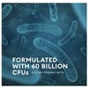 Probiotics 60 Billion CFU - Dr. Approved Probiotics for Women,