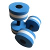 Mancuernas Para Aeróbicos Acuáticos Eva Aquatic Barbell Fitn