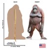 Cardboard People Orangutan Life Size Cardboard Cutout Standup - Made