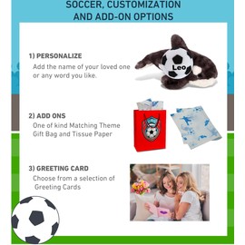 DolliBu Super Soft Wild Killer Whale Stuffed Animal with Soccer Ball Plush - Huggable Killer Whale Playtime Toy, Cute Ocean Gift Doll, Super Soft Stuffed Doll Animal Toy for Kids, Adults - 11.5 Inches