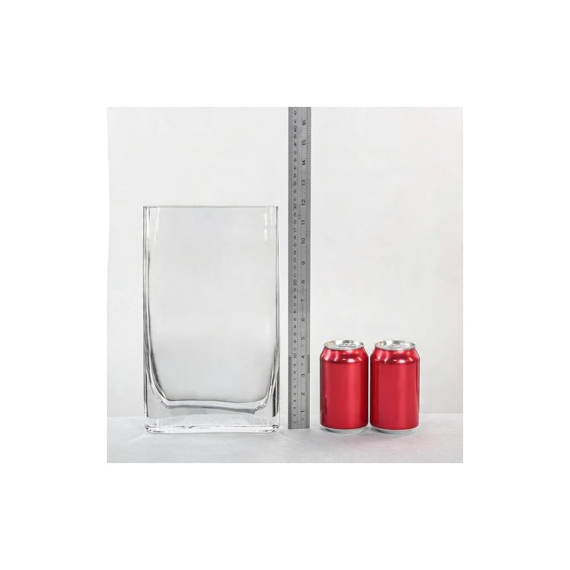 CYS Excel Jarrón de vidrio para libro (altura: 30 cm,