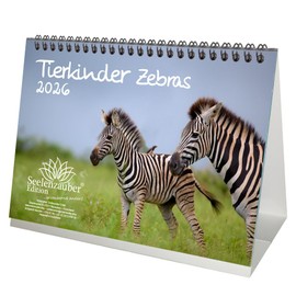 Tierkinder Zebras DIN A5 Desk Calendar for 2026 Zebra - Gift Set Contents: 1 x Calendar, 1 x Christmas Pendant (Total 2 Pieces)